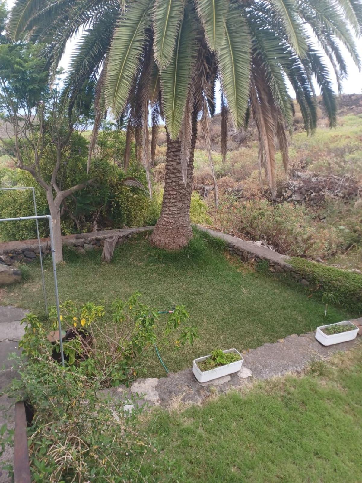 Casa Rural El Olivo De Mazo 외부 사진